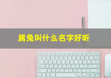 属兔叫什么名字好听