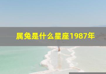 属兔是什么星座1987年