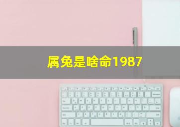 属兔是啥命1987