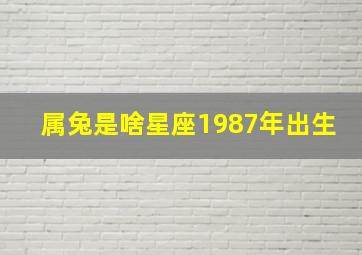 属兔是啥星座1987年出生