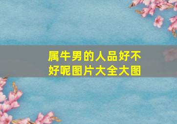 属牛男的人品好不好呢图片大全大图