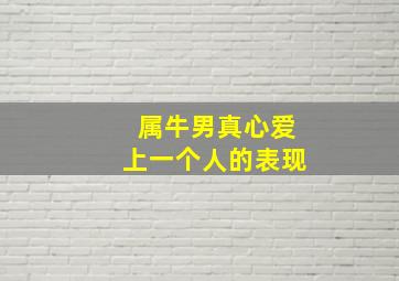 属牛男真心爱上一个人的表现