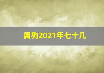 属狗2021年七十几