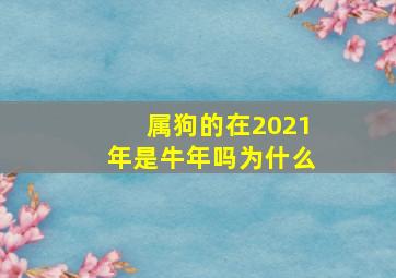 属狗的在2021年是牛年吗为什么