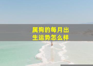 属狗的每月出生运势怎么样