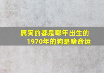 属狗的都是哪年出生的1970年的狗是啥命运