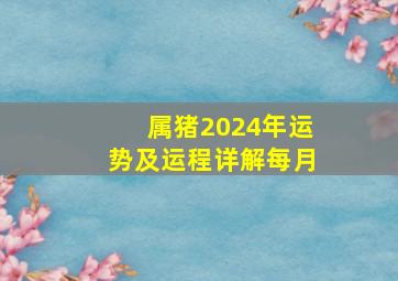 属猪2024年运势及运程详解每月