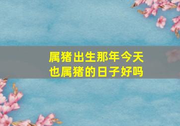 属猪出生那年今天也属猪的日子好吗