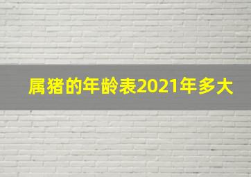 属猪的年龄表2021年多大