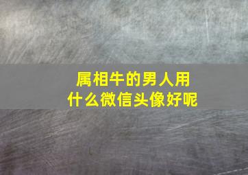 属相牛的男人用什么微信头像好呢