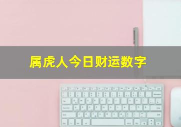 属虎人今日财运数字