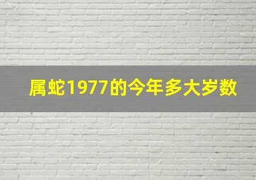 属蛇1977的今年多大岁数