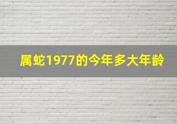 属蛇1977的今年多大年龄