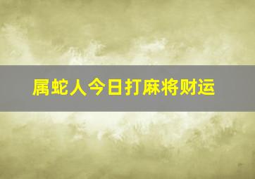 属蛇人今日打麻将财运