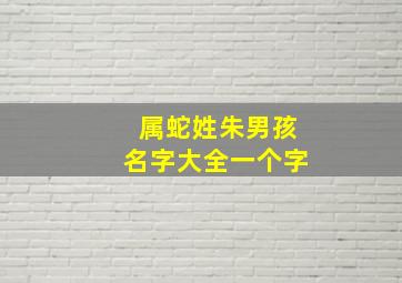 属蛇姓朱男孩名字大全一个字