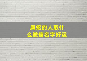 属蛇的人取什么微信名字好运