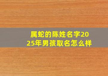 属蛇的陈姓名字2025年男孩取名怎么样