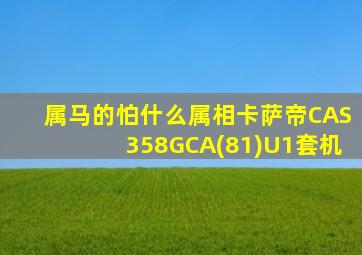 属马的怕什么属相卡萨帝CAS358GCA(81)U1套机