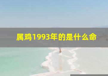 属鸡1993年的是什么命