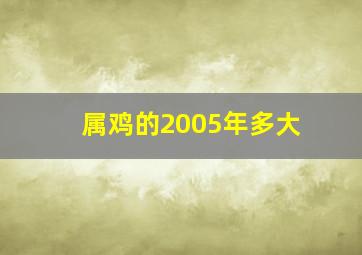 属鸡的2005年多大