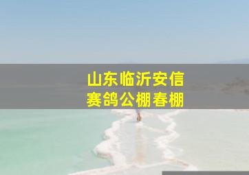 山东临沂安信赛鸽公棚春棚