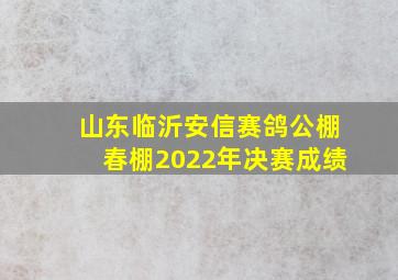 山东临沂安信赛鸽公棚春棚2022年决赛成绩