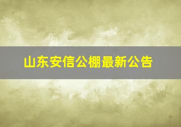 山东安信公棚最新公告