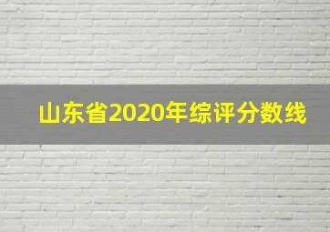 山东省2020年综评分数线