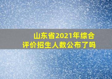 山东省2021年综合评价招生人数公布了吗