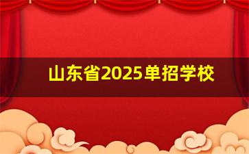 山东省2025单招学校