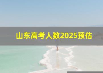 山东高考人数2025预估