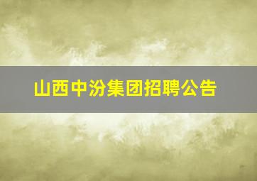 山西中汾集团招聘公告