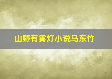 山野有雾灯小说马东竹