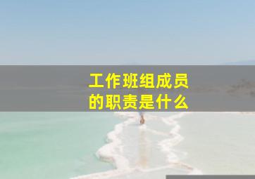 工作班组成员的职责是什么