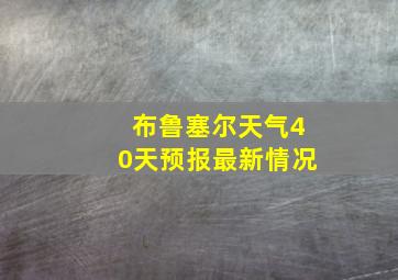 布鲁塞尔天气40天预报最新情况