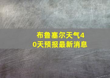 布鲁塞尔天气40天预报最新消息