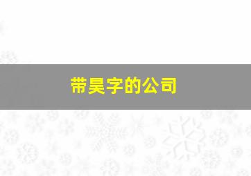 带昊字的公司