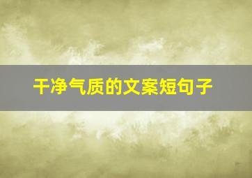 干净气质的文案短句子