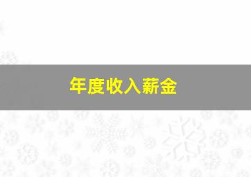 年度收入薪金