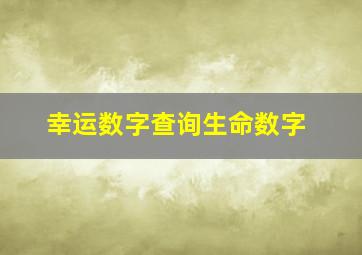 幸运数字查询生命数字