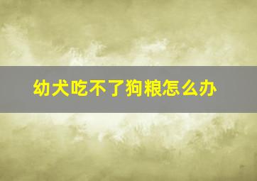 幼犬吃不了狗粮怎么办