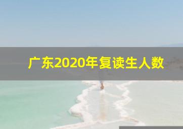 广东2020年复读生人数