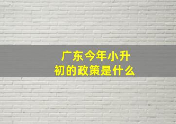 广东今年小升初的政策是什么