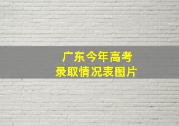 广东今年高考录取情况表图片