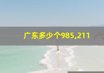 广东多少个985,211