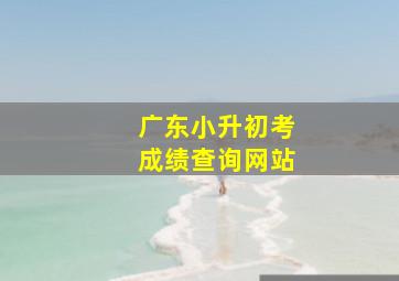 广东小升初考成绩查询网站