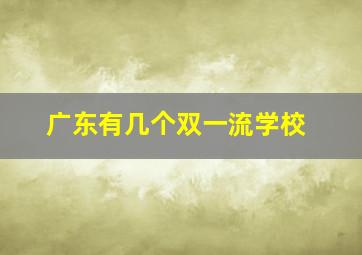 广东有几个双一流学校