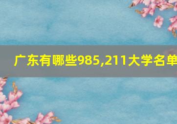 广东有哪些985,211大学名单