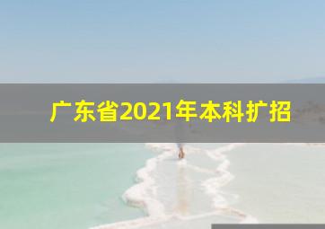 广东省2021年本科扩招