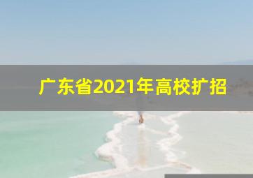 广东省2021年高校扩招